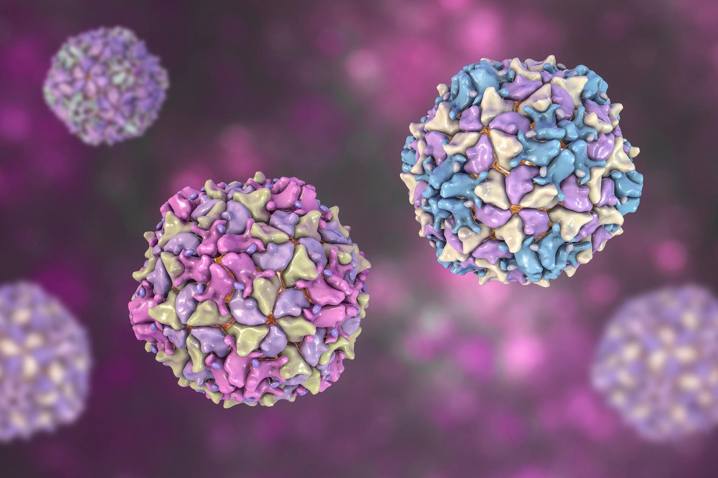 Poliovirus Poliovirus