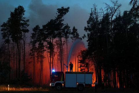 Feuerwehrmann bekämpft Waldbrand in Gohrischheide in der Nähe von Zeithain.
