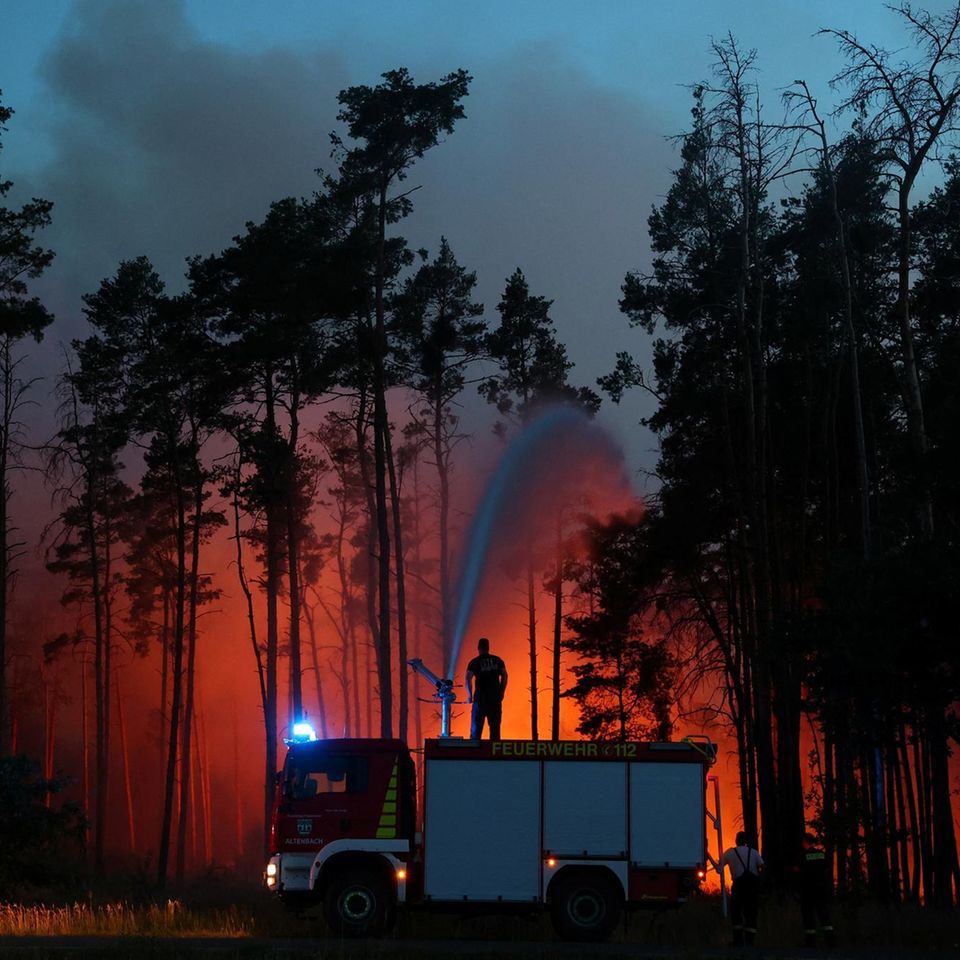 Feuerwehrmann bekämpft Waldbrand in Gohrischheide in der Nähe von Zeithain.