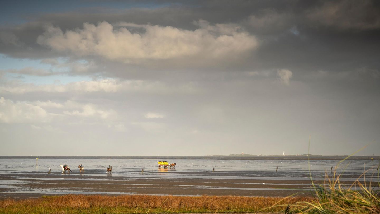 Neuwerk: Hamburgs eigene Nordseeinsel Wolkiger Himmel und Watt mit Wattwagenfahrt zur Insel Neuwerk