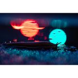 Ein Garten im urbanen Raum trumpft mit künstlichen Lichtquellen, sie illuminieren die Silhouetten von Tieren wie im Scheinwerferlicht. Nach einem Regenschauer kann man Spiegelungen in Pfützen nutzen und einfache Motive wie eine Spanische Wegschnecke eindrucksvoll in Szene setzen. Damit ästhetisch unscharfe "Bokeh-Kreise" besonders gut zur Geltung kommen, sollte man die Blende komplett öffnen und in der Dämmerung den ISO-Wert weit heraufsetzen.