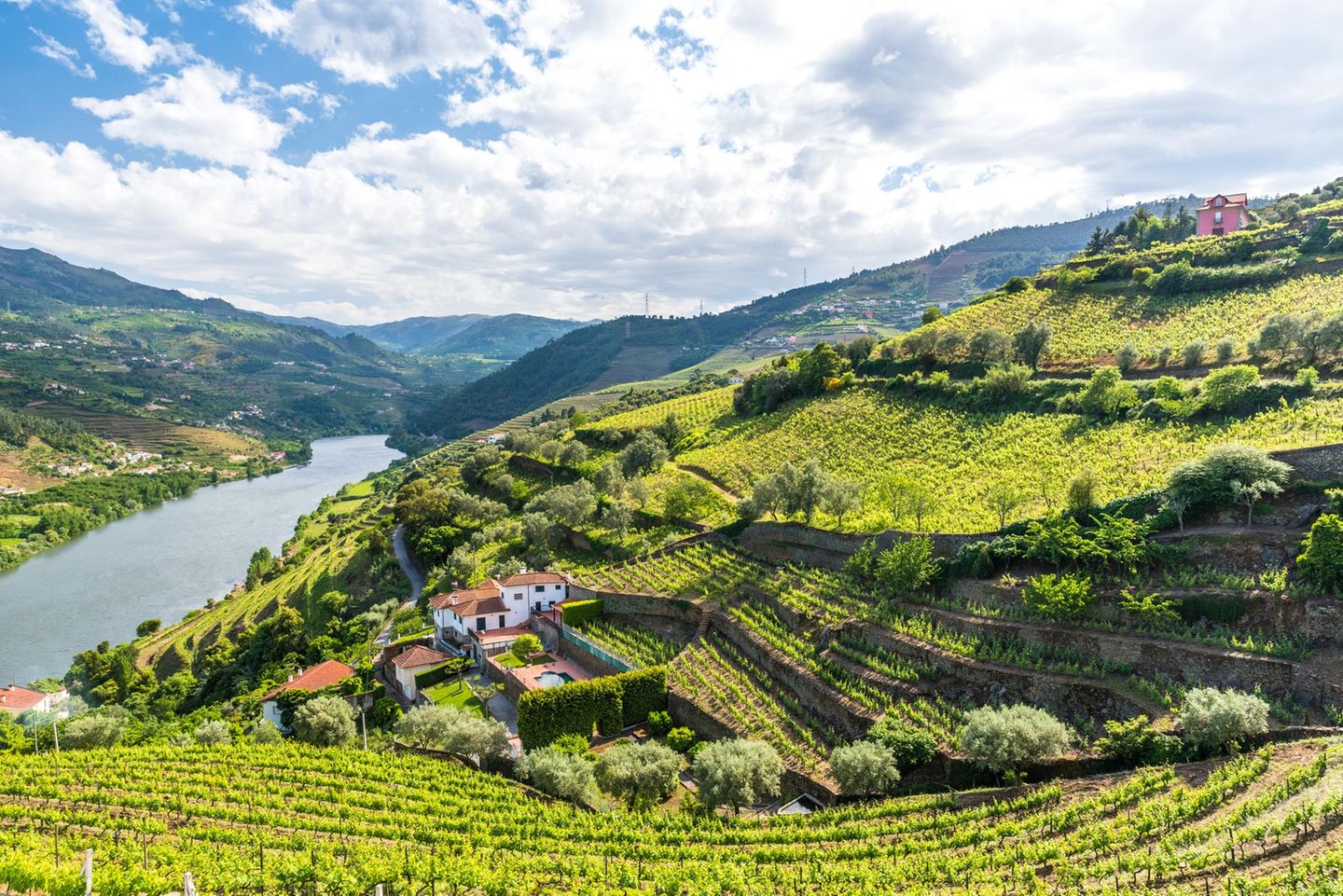 Douro-Tal nahe Porto in Portugal