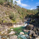 Fluss mit Brücke im Nationalpark Peneda-Gerês