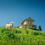 Königshaus Schachen mit Almwiese