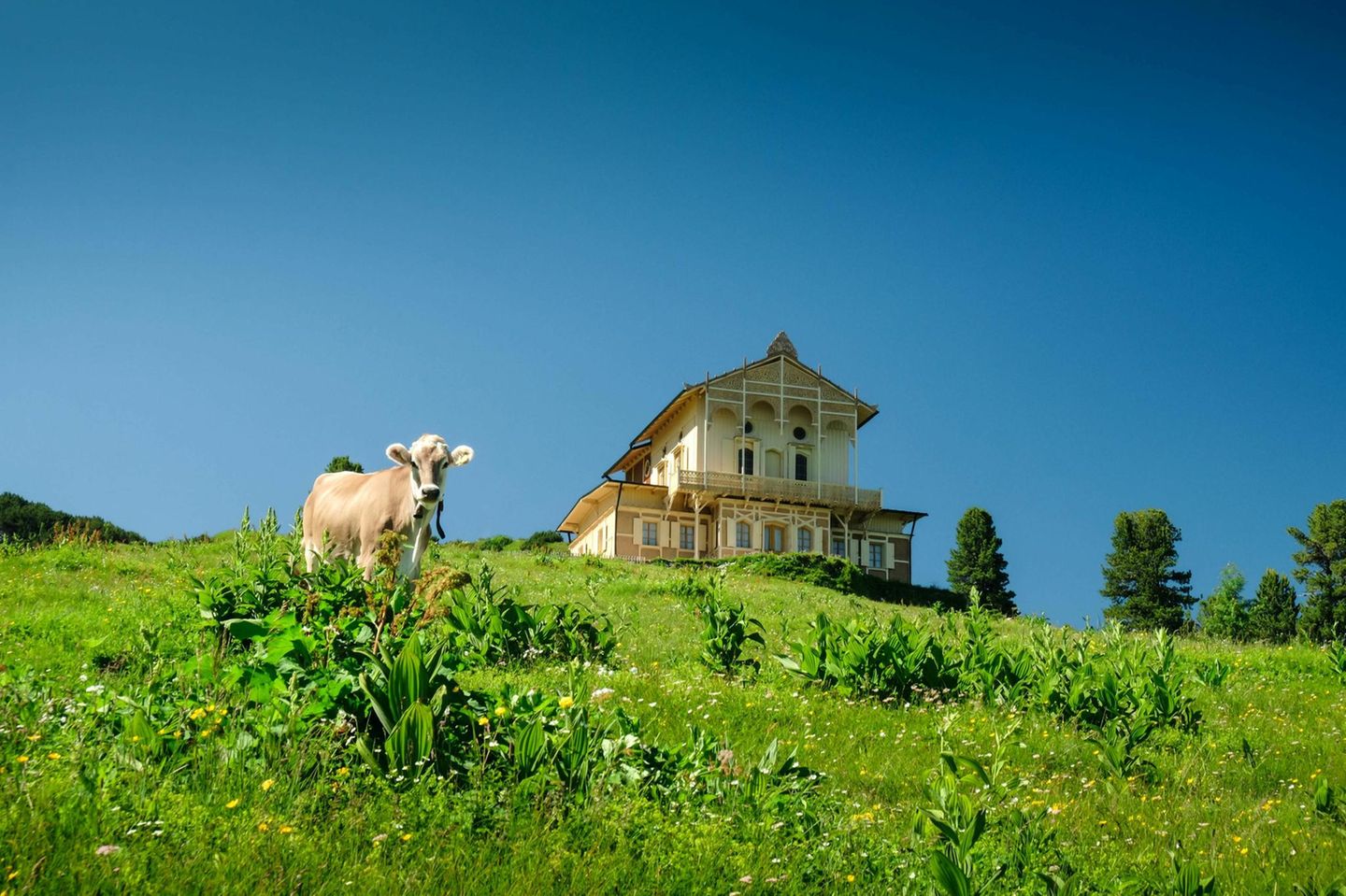 Königshaus am Schachen: Luxus in der Bergwelt Königshaus Schachen mit Almwiese