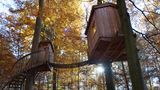 Baumhaushotel Solling