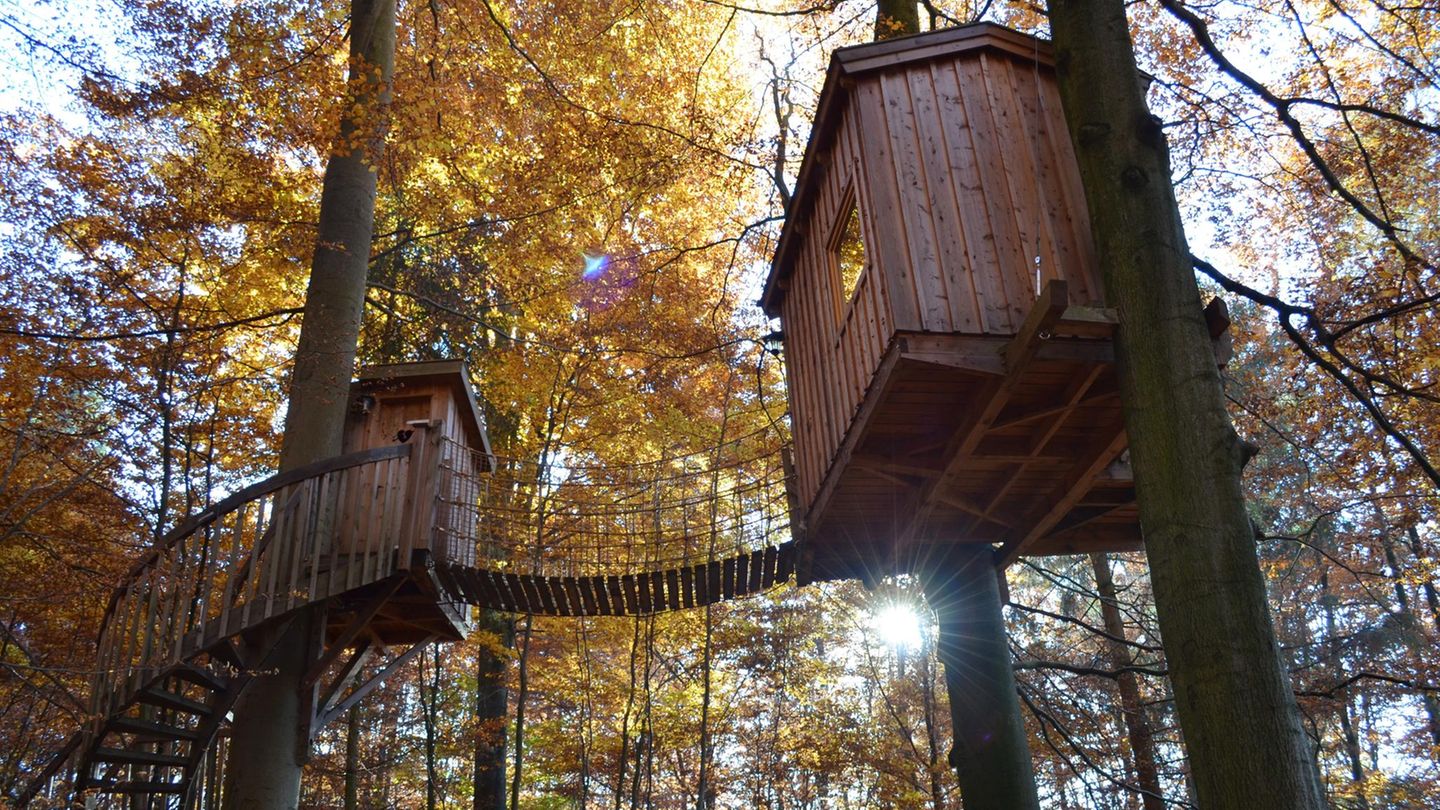 Wipfelträume im Erlebniswald Baumhaushotel Solling