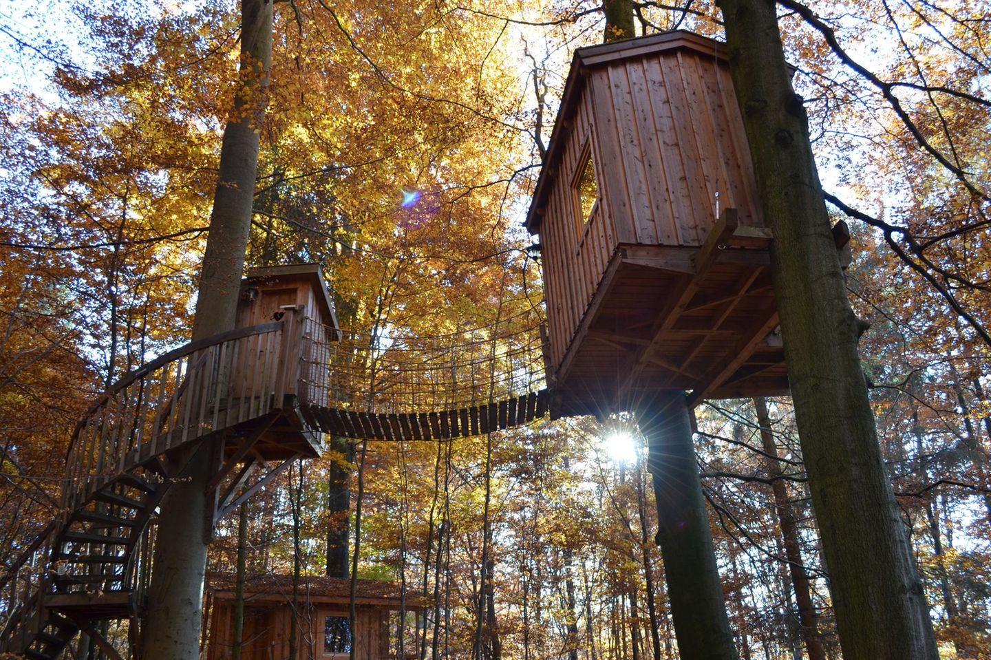 Baumhaushotel Solling
