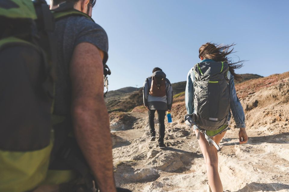 Drei Wanderer mit Reiserucksäcken 1.5004