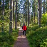 Spaziergaenger im Schwarzwald.