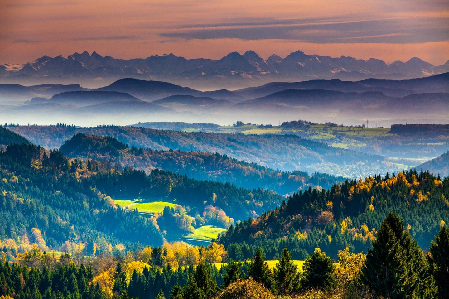 Landschaftsaufnahme vom Schwarzwald.