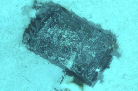 Die Forschenden untersuchten etwa 50 Atommüll-Fässer anhand von Fotos. Foto: -/Flotte Océanographique Française/dpa