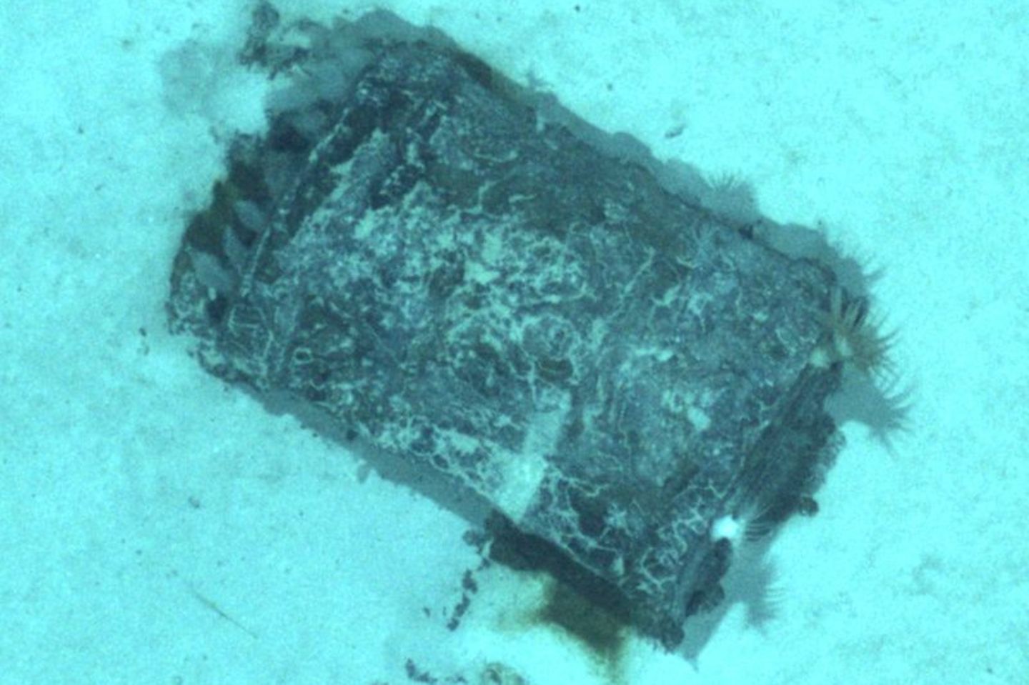 Steamy Natalia Valencia Action - Prepare for Intense Thrill