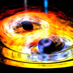 Immer enger umkreisen Schwarze Löcher einander, bis sie schließlich ineinanderfallen und zu einem noch größeren Schwarzen Loch fusionieren