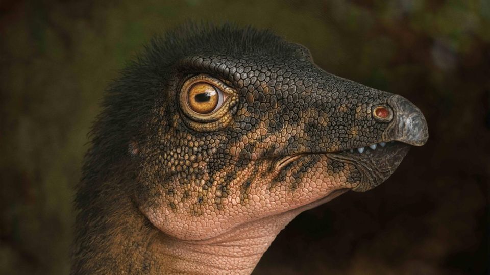 Dinosaurier der Gattung Thescelosaurus