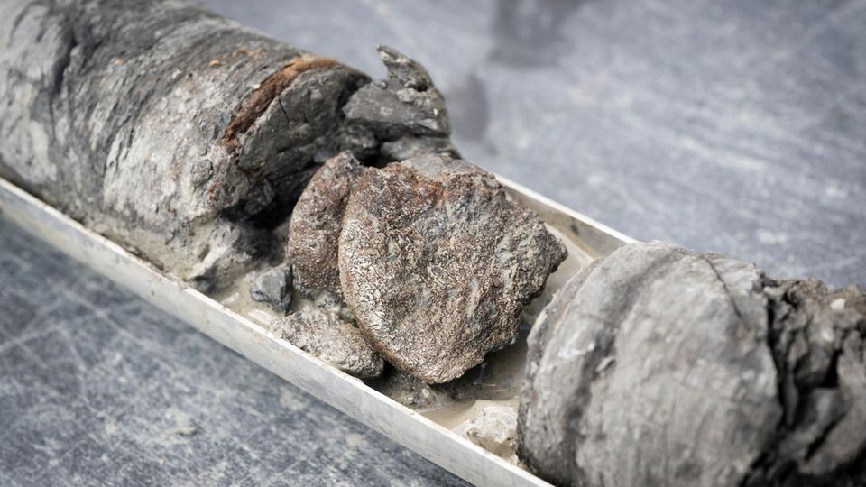 Einblicke ins Museum: Kurator James Hagadorn über den kuriosen Fund
