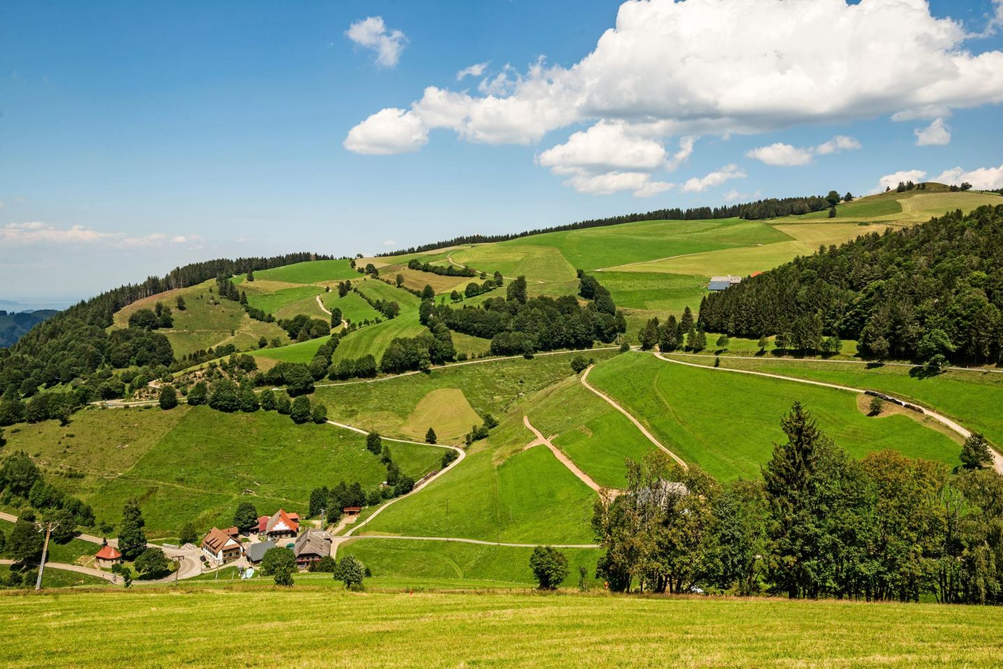 Aussicht vom Belchensteig auf landwirtschaftliche Nutzflächen im Schwarzwald