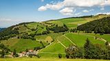 Aussicht vom Belchensteig auf landwirtschaftliche Nutzflächen im Schwarzwald