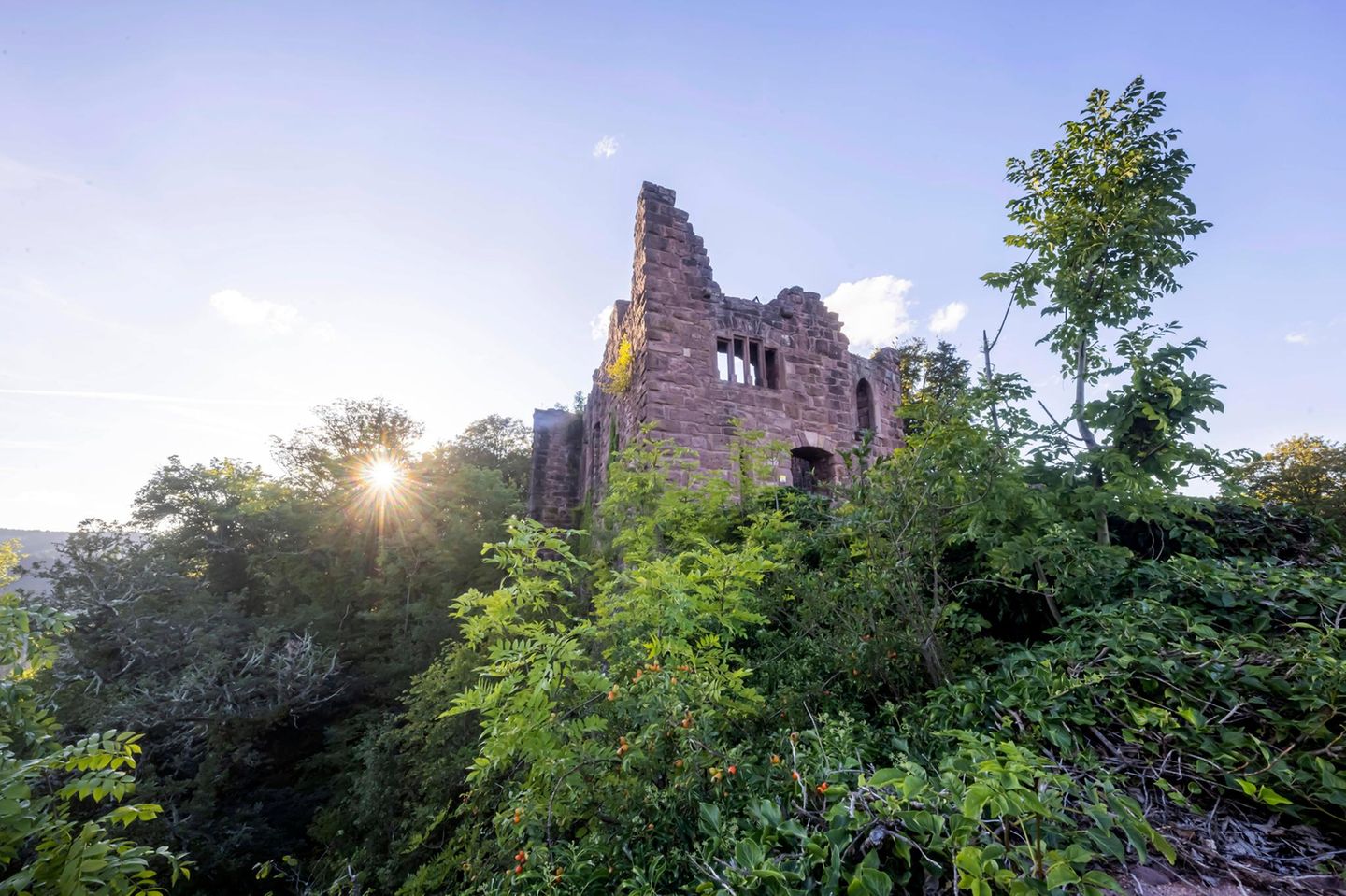 Burg Hohenschramberg im Schwarzwald am Abend
