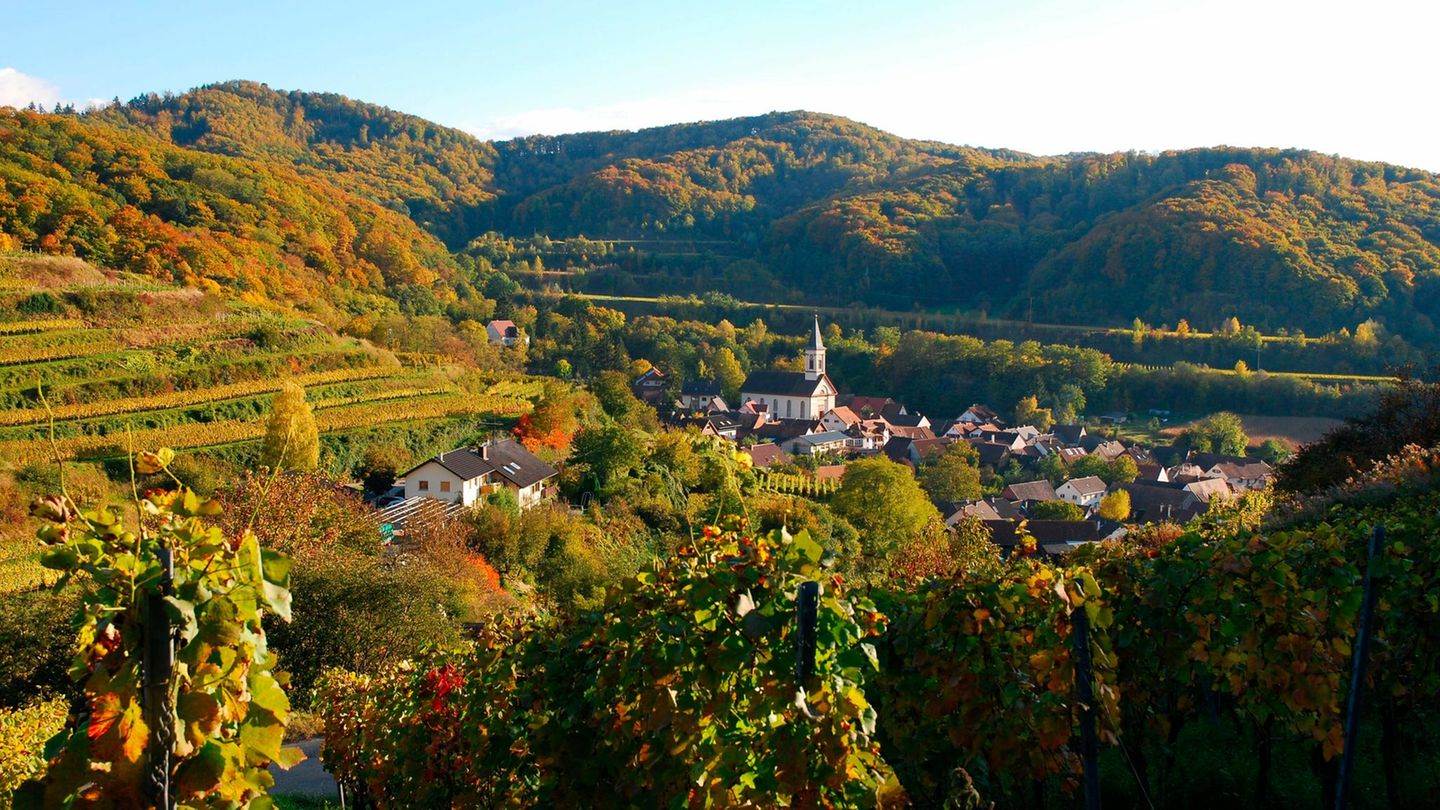 Quellenlehrpfad Mit Jedem Schritt Etwas Schlauer GEO Quellenlehrpfad mit jedem schritt etwas schlauer geo