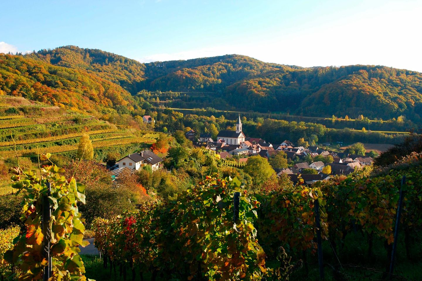 Kaiserstuhlpfad Endingen