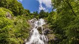 Todtnauer Wasserfall im Sommer