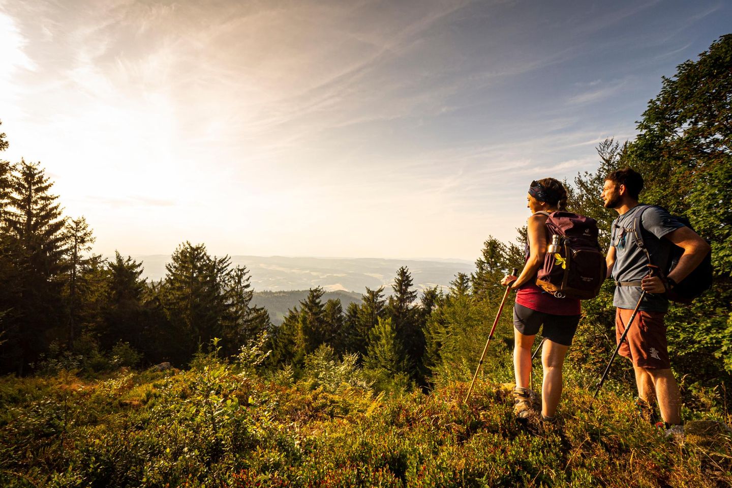 Wandern auf dem Zweitälersteig, Braunhörnle mit Blick ins Elztal