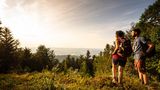 Wandern auf dem Zweitälersteig, Braunhörnle mit Blick ins Elztal