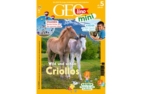 GEOlino Mini 08/2025: Criollos
