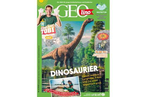 Cover GEOlino 07-2025: Orang-Utans
