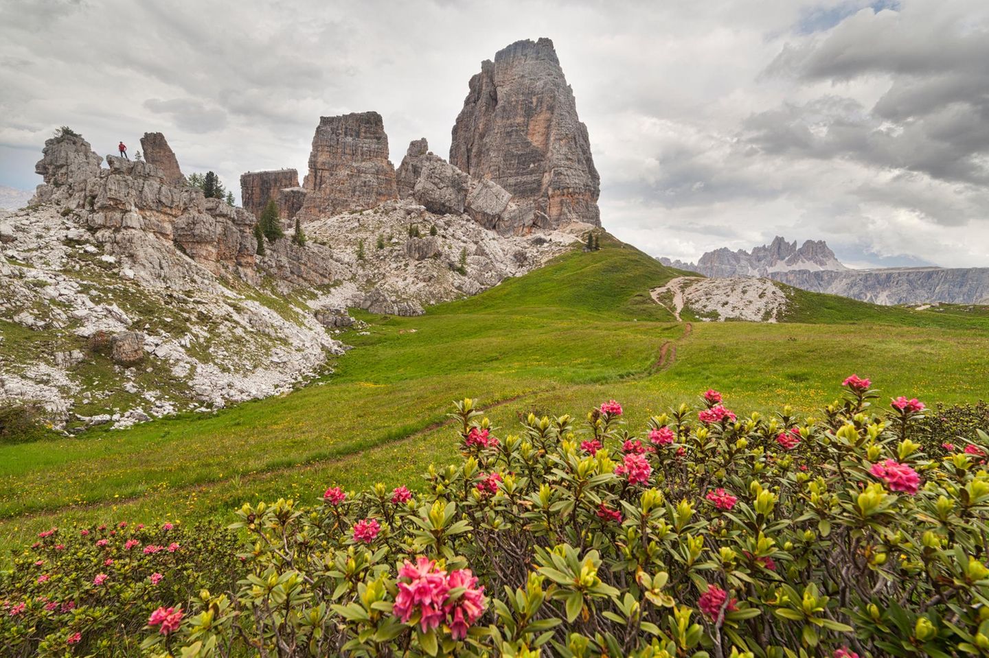 Outdoor im Großformat: die Ampezzaner Dolomiten Felsformation Cinque Torri, davor Wiese