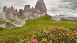 Felsformation Cinque Torri, davor Wiese