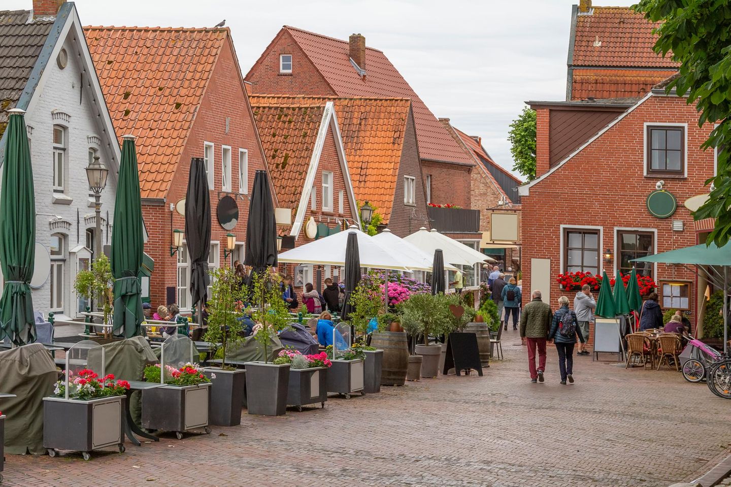 Greetsiel: Zeitreise mit Buddelschiff Greetsiel