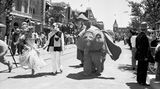 Verkleidete Menschen laufen über eine Straße in Disneyland in Kalifornien