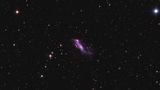 IC 2574 ist eine unregelmäßige Zwerggalaxie im Sternbild Großer Bär, nur zwölf Millionen Lichtjahre von uns entfernt. Ihr Durchmesser ist mit 45.000 Lichtjahren nur etwa halb so groß wie der unserer Milchstraße. In ihrer Region aus leuchtendem Wasserstoff zeigt sie deutliche Anzeichen intensiver Sternbildung, angefacht durch Sternenwinde und Supernovae.