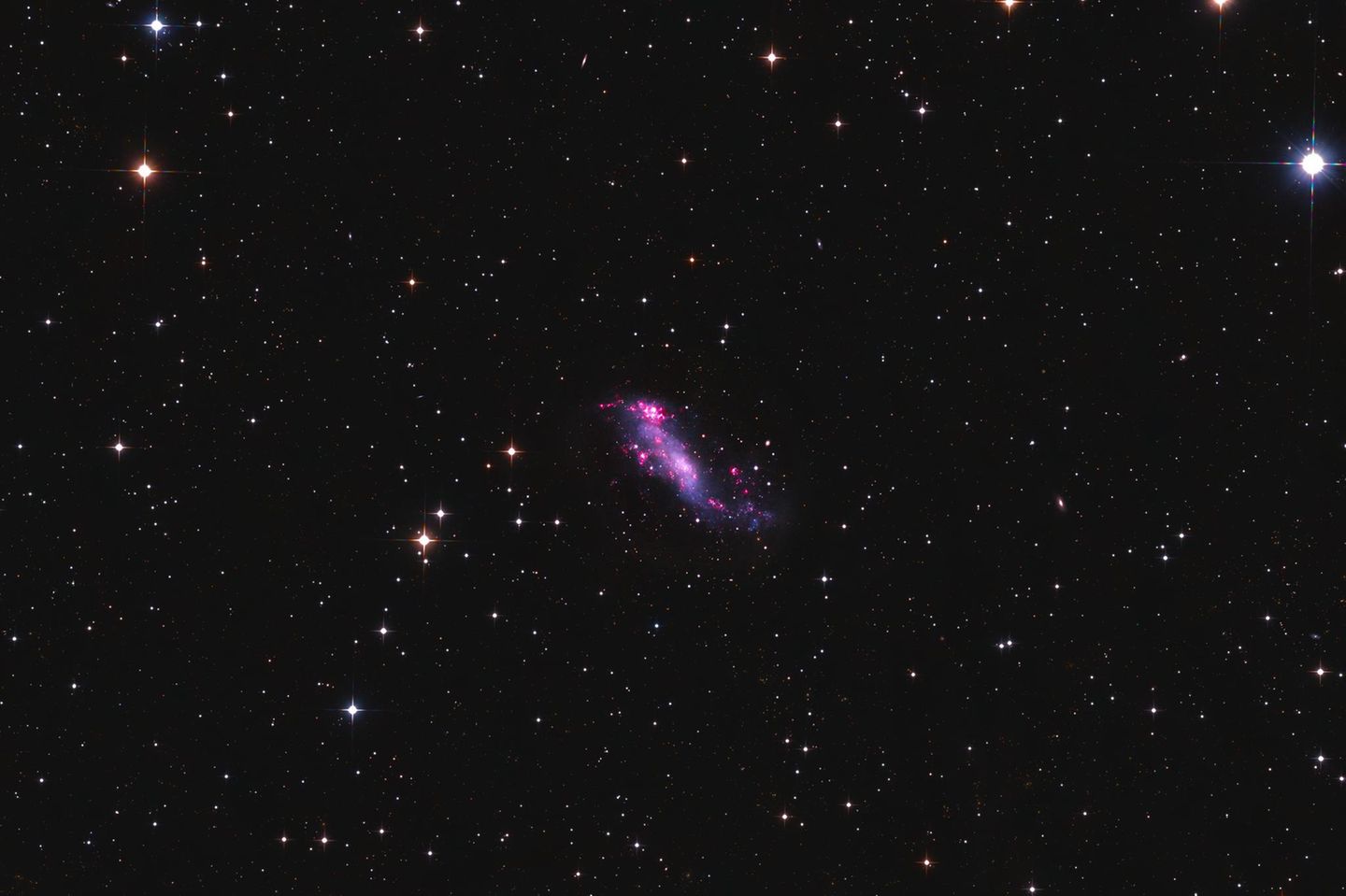 IC 2574 ist eine unregelmäßige Zwerggalaxie im Sternbild Großer Bär, nur zwölf Millionen Lichtjahre von uns entfernt. Ihr Durchmesser ist mit 45.000 Lichtjahren nur etwa halb so groß wie der unserer Milchstraße. In ihrer Region aus leuchtendem Wasserstoff zeigt sie deutliche Anzeichen intensiver Sternbildung, angefacht durch Sternenwinde und Supernovae.