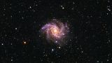 NGC 6946 ist eine Balken-Spiralgalaxie im Sternbild Kepheus an der Grenze zum Sommersternbild Schwan. Innerhalb von einem Jahrhundert haben sich in ihr zehn Supernovae ereignet. Im Vergleich zu anderen "Sternenstädten" ist das ein wahres Feuerwerk an spektakulären Explosionen massereicher Sterne am Ende ihrer Lebenszeit. Diesem Umstand verdankt NGC 6946 ihren Spitznamen.