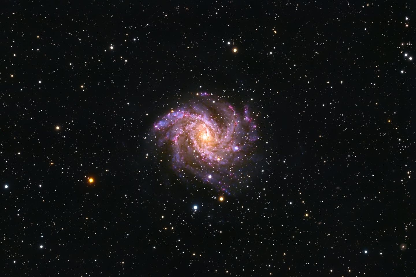 NGC 6946 ist eine Balken-Spiralgalaxie im Sternbild Kepheus an der Grenze zum Sommersternbild Schwan. Innerhalb von einem Jahrhundert haben sich in ihr zehn Supernovae ereignet. Im Vergleich zu anderen "Sternenstädten" ist das ein wahres Feuerwerk an spektakulären Explosionen massereicher Sterne am Ende ihrer Lebenszeit. Diesem Umstand verdankt NGC 6946 ihren Spitznamen.