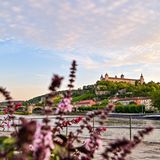 Blick auf Würzburg