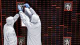 Zwei Wissenschaftler schrauben an einem Solarpaneel