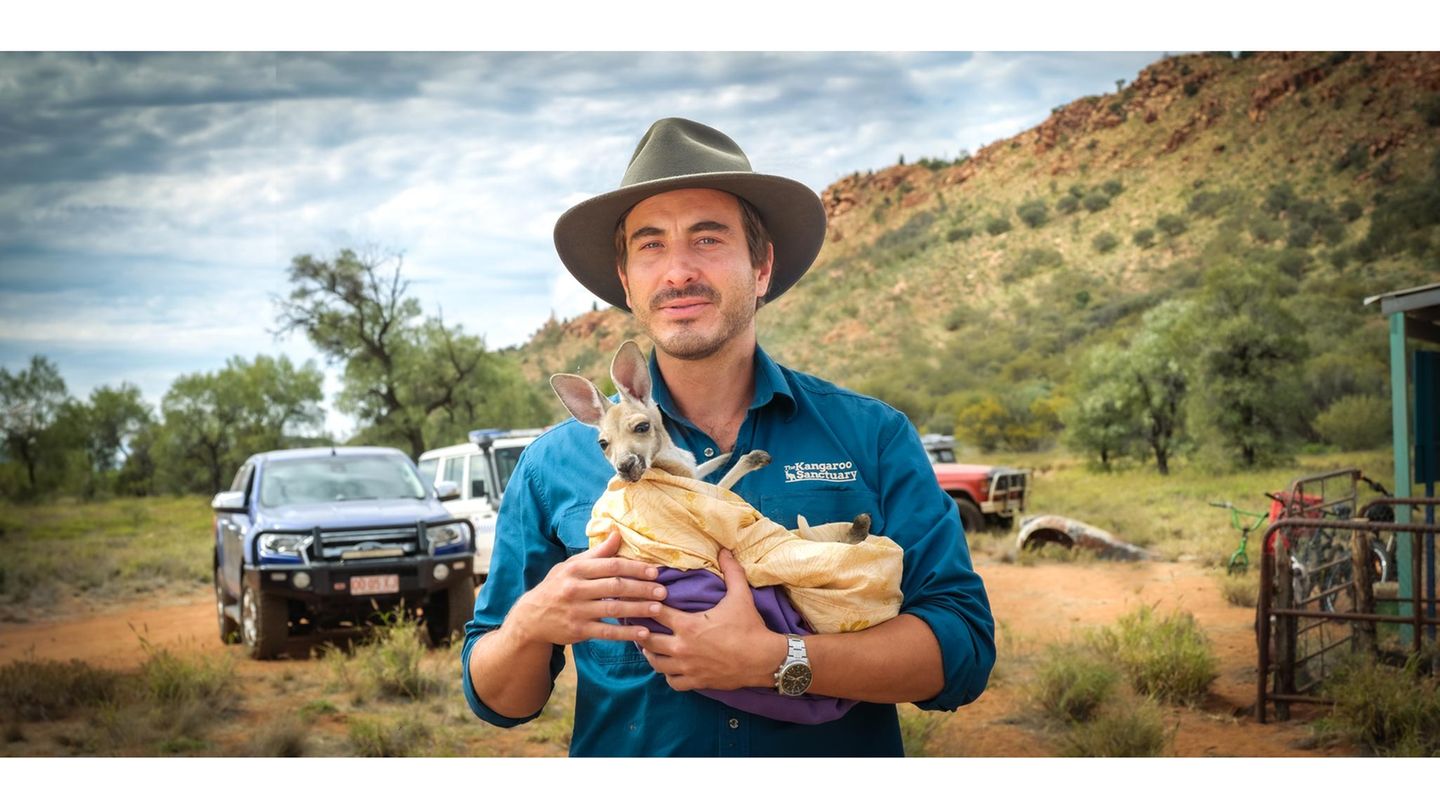 Quiz: Was wisst ihr über Tiere in Australien?