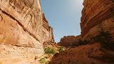 Eine Wanderin in einer Felslandschaft im "The Maze" in Utah, USA