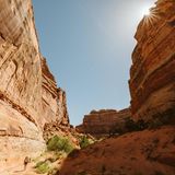 Eine Wanderin in einer Felslandschaft im "The Maze" in Utah, USA