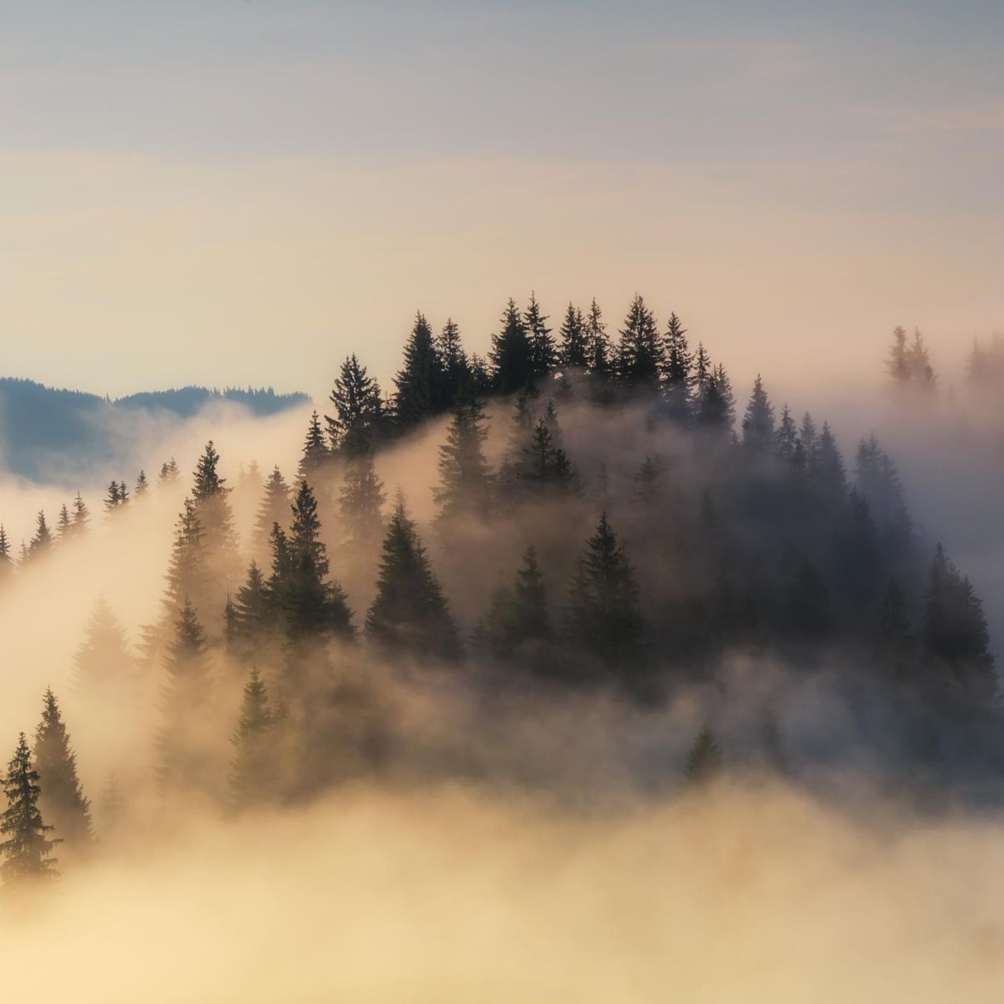 Wie entsteht Nebel? Das Phnomen verstndlich erklrt - [GEO]