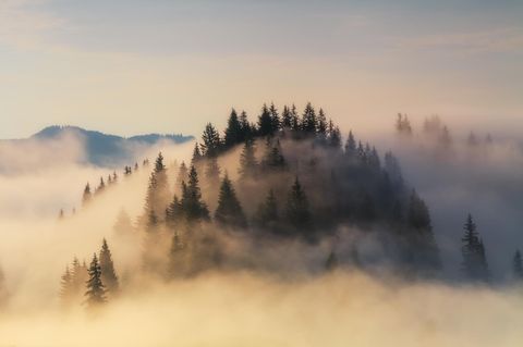 Wie entsteht Nebel? Die weißen Schleier bilden sich, wenn die Temperatur unter den Taupunkt fällt, aber es bedarf zudem winziger Partikel