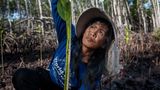 Person misst die Höhe einer neu gepflanzten Mangrove