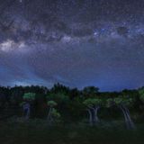 Es ist noch nicht lange dunkel, die Sonne ist gerade erst untergegangen, als Gwi Bin Lim dieses Foto am Walakiri Beach auf der indonesischen Insel Sumba schießt. Die aus dem Wasser ragenden Mangrovenbäume scheinen förmlich mit der Milchstraße zu verschmelzen, die sich wie ein Sternengewitter über dem Wald entfaltet und den Abendhimmel hell erleuchtet. Gwi Bin Lim gewinnt mit dieser imposanten Aufnahme in der Kategorie "am Boden".