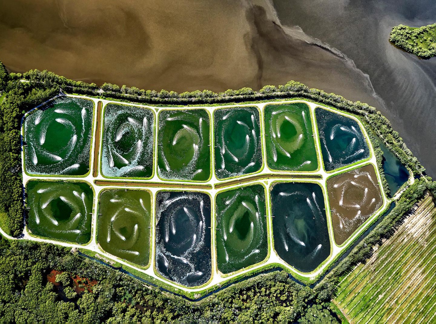 Aquakulturproduktion in Australien