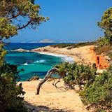 Durchgang zum Alyko Strand mit Zedernwald auf der Insel Naxos