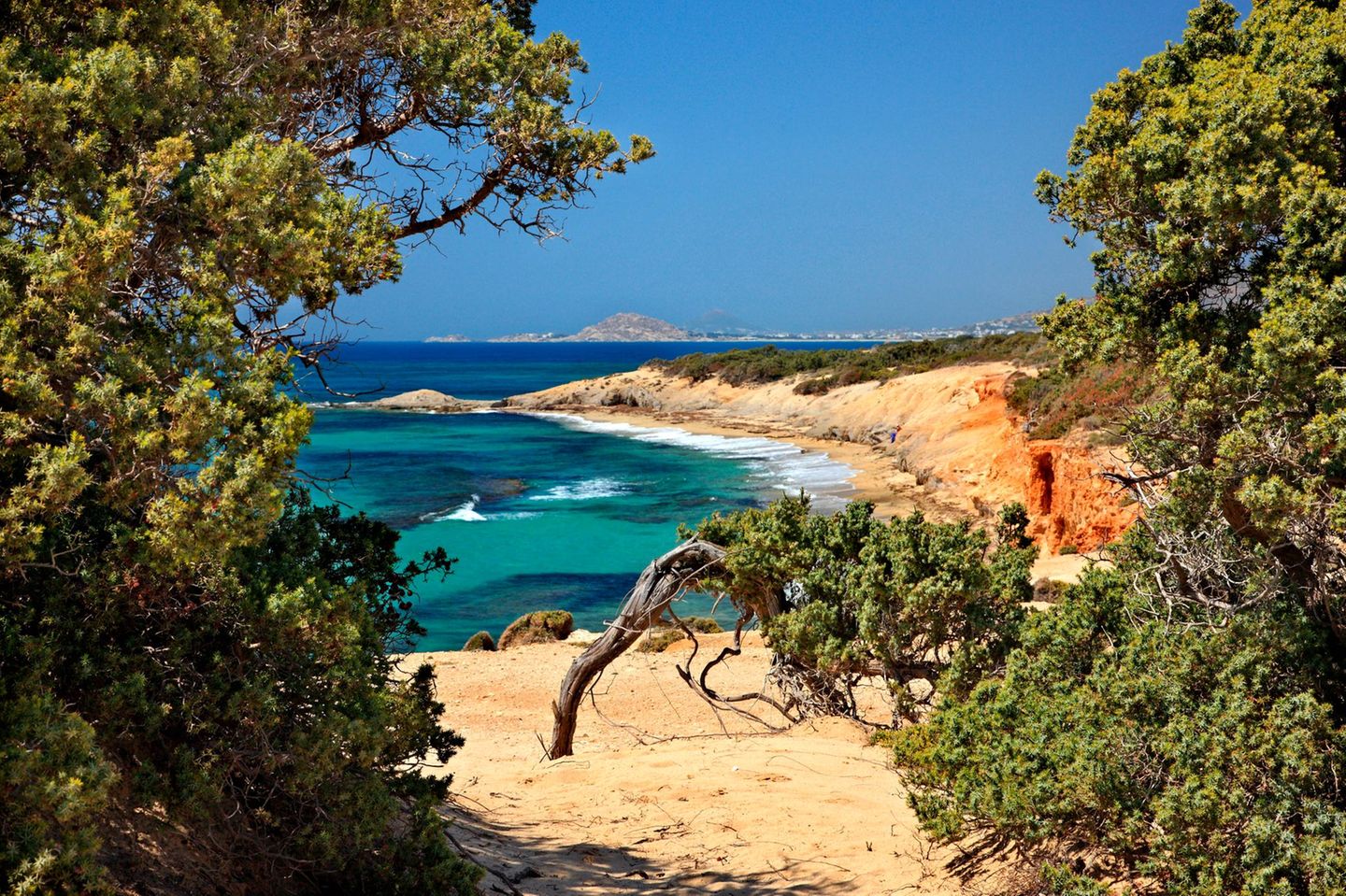 Durchgang zum Alyko Strand mit Zedernwald auf der Insel Naxos